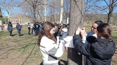 Mesura el CO2 capturat pels arbres