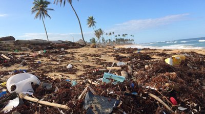 Organise or participate in a beach clean-up