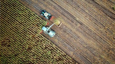 Survey of plant-parasitic nematodes in agricultural plots